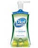 Check out this new coupon!  $1.00 off 2 Dial Complete Foaming Hand Soaps