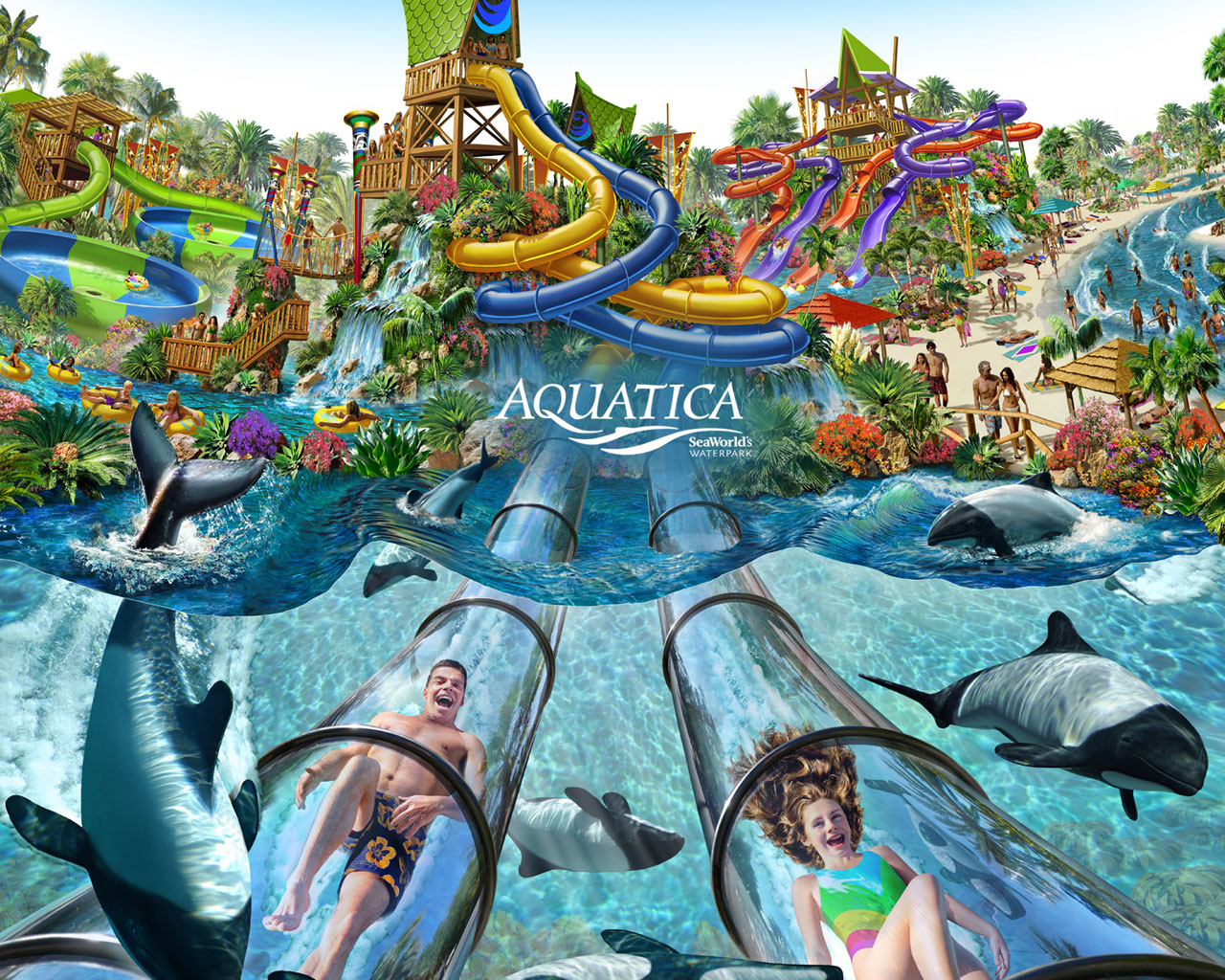 WOW 5 00 Tickets To Aquatica For FLORIDA RESIDENTS 