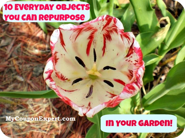 Thrifty Thursday – Repurposing Garden Ideas!