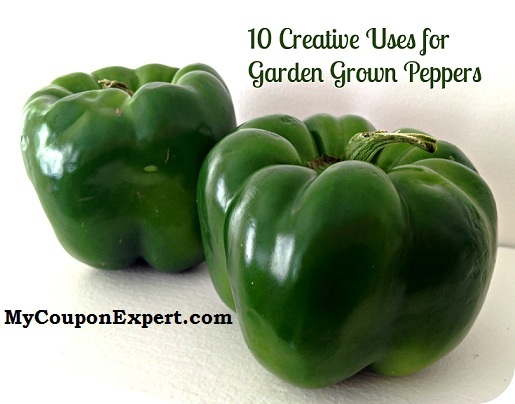 Creative uses for Garden Peppers!!