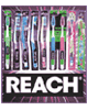 Check out this new coupon!! $2.00 off any REACH Brand 2 Pack