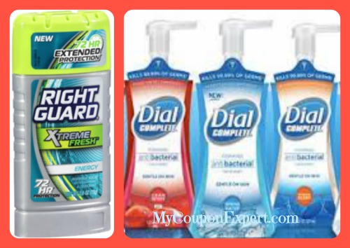 Winn Dixie:   HOT DEAL on Right Guard and Dial Foaming Hand Soap!!