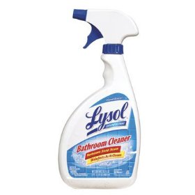 Lysol Bathroom Cleaner Only $0.49 at Publix Starting 9/26
