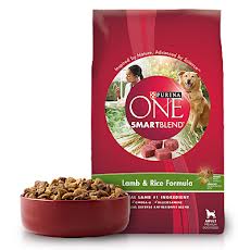 Purina ONE SmartBlend Dog Food Only $0.25 at Publix Starting 9/11