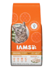 NEW COUPON ALERT!  $2.00 off ONE Dry IAMS Cat Food