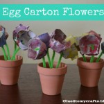 egg carton flower cover