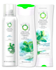 New Coupon! Check it out!  $2.00 off TWO Herbal Essences products