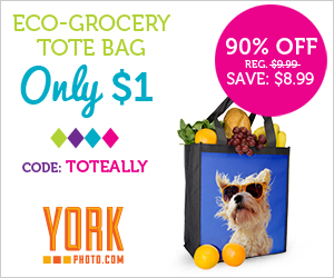 Custom Eco-Grocery Tote Bag for only $1.00