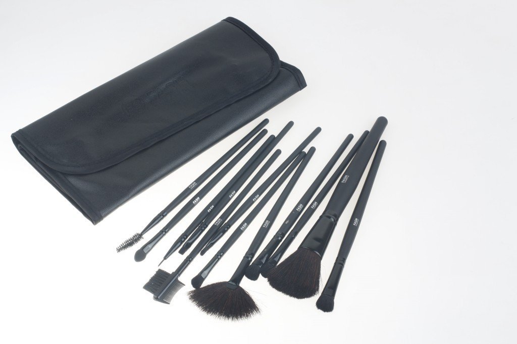 12 Piece Professional Makeup Brush Set Only $10.00 – 83% Off