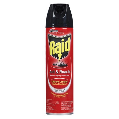 Raid Ant & Roach Killer Only $1.04 at Publix Until 8/15