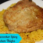 slow-cooker-chicken-thighs