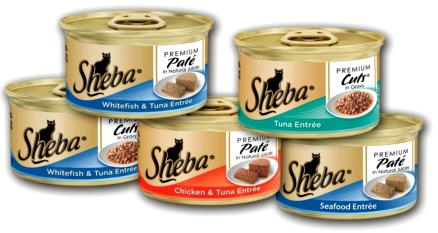 Publix Hot Deal Alert! Sheba Cat Food Only $.25 Until 3/18