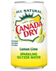 NEW COUPON ALERT!  $1.00 off 12pk Canada Dry Sparkling Seltzer Water