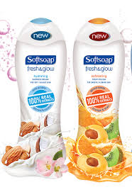 Publix Hot Deal Alert! FREE or Cheap Deals on Softsoap Body Wash!
