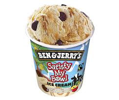 Publix Hot Deal Alert! Ben & Jerry’s Ice Cream or Frozen Yogurt Only $2.05 Until 8/19