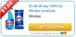 HOT New Printable Coupon: $1.00 off any TWO (2) Windex products