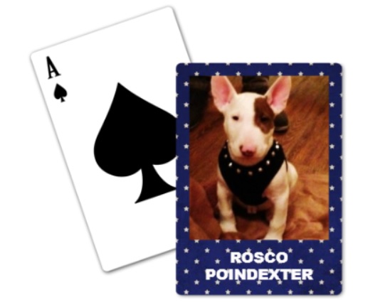 Rosco cards