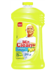 WOOHOO!! Another one just popped up!  $0.75 off ONE Mr. Clean All Purpose Cleaner