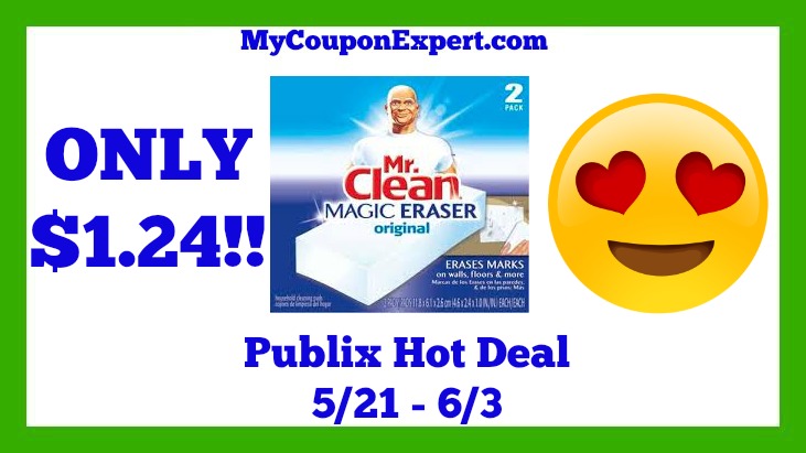 Publix Hot Deal Alert! Mr. Clean Products Only $1.24 Until 6/3