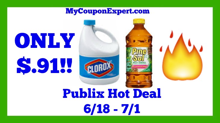 Publix Hot Deal Alert! Clorox & Pine Sol Only $.91 Until 7/1