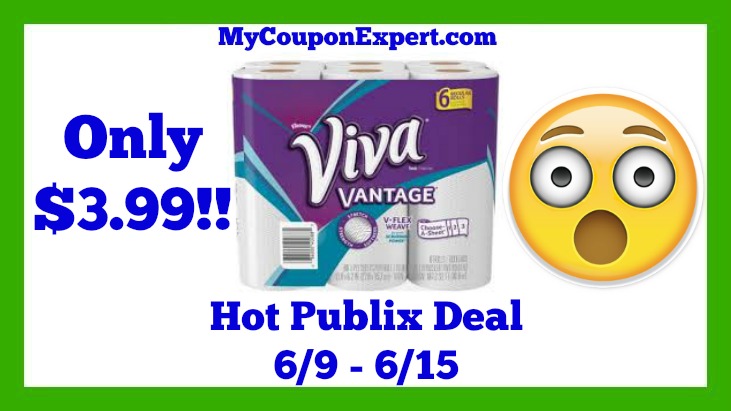 Publix Hot Deal Alert! Viva Paper Towels Big Rolls 6 ct Only $3.99 Starting 6/9
