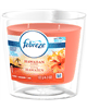 New Coupon!   $1.50 off ONE Febreze Candle Product
