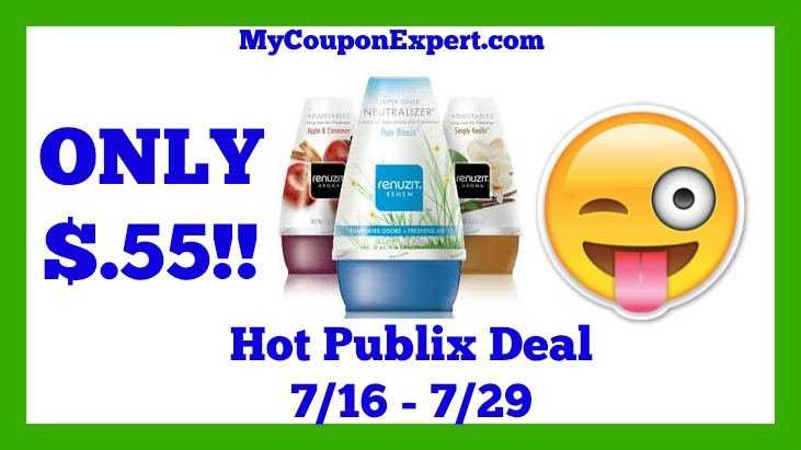 Publix Hot Deal Alert! Renuzit Adjustable Air Freshener Only $.55 Until 7/29
