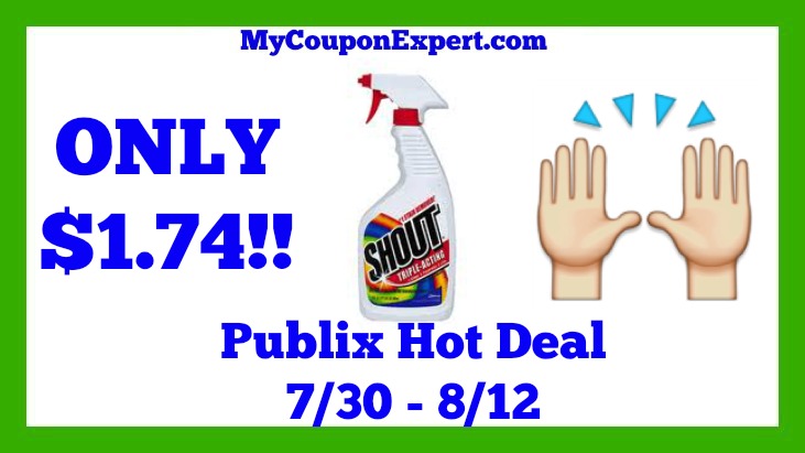 Publix Hot Deal Alert! Shout Products Only $1.74 Until 8/12