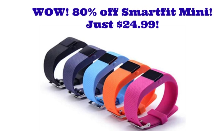 WOW!  Smart Fit Mini Fitness Tracker Watch just $24.99!  Check this out!