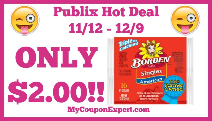 Hot Deal Alert! Borden Singles Only $2.00 at Publix from 11/12 – 12/9