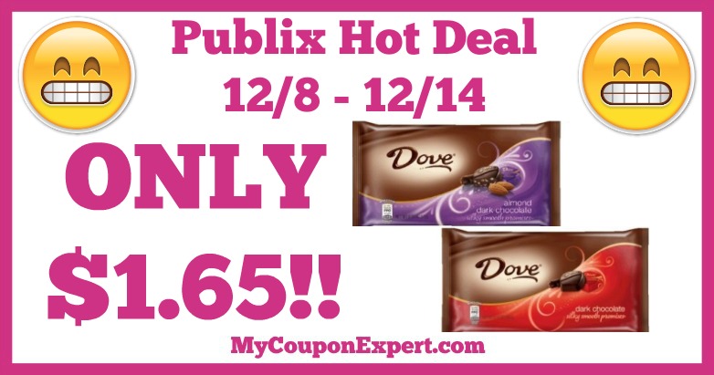 Hot Deal Alert! Dove Chocolate Promises Only $1.65 at Publix from 12/8 – 12/14