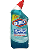 NEW COUPON ALERT!  $0.50 off any 2 Clorox Toilet Bowl Cleaner