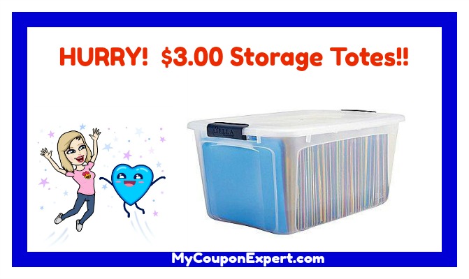 WOW!!  Storage Totes for $3.00 each!!  HURRY!!