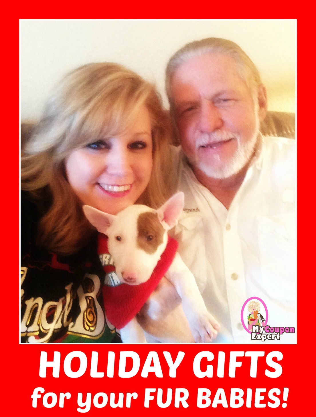 Gift Ideas for your pets!!  Check these out!