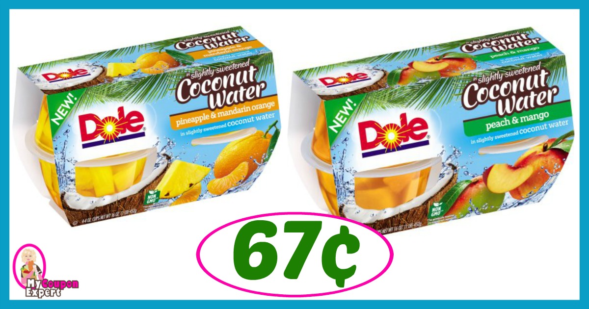 Publix Hot Deal Alert! Dole Fruit Cups Only 67¢ after sale and coupons