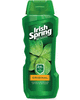 Save  On any ONE Irish Spring Body Wash (excludes Trial or Travel size) , $1.00