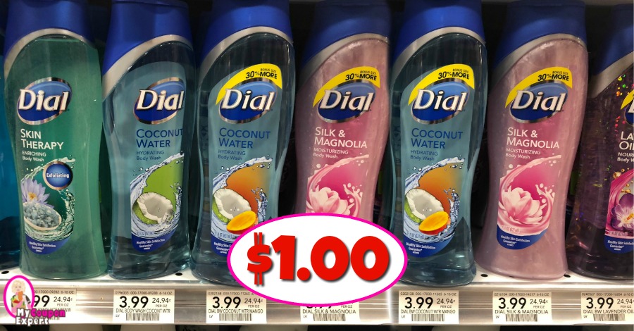 Dial Body Wash just $1.00 each at Publix!