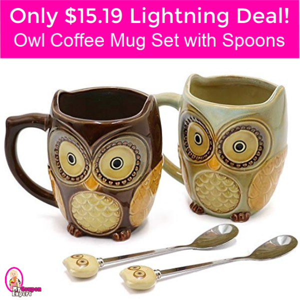 Only $15.19 Owl Mug Set with Spoons!  Lightning Deal!