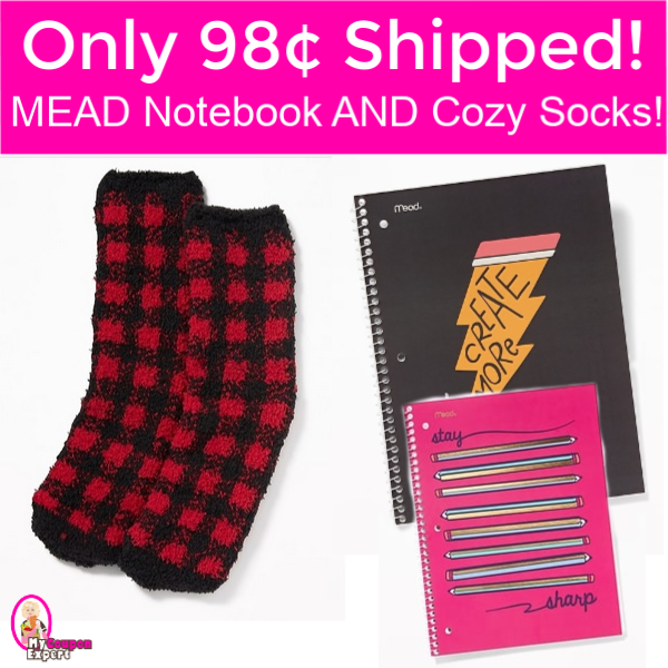 OMG!!  Notebook AND Cozy Socks both for 98¢ SHIPPED!  Hurry!