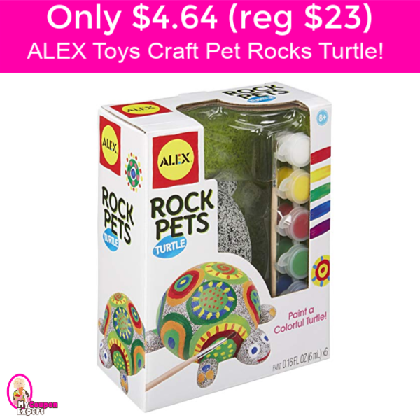 Only $4.64 (reg $23) ALEX TOYS Craft Pet Rock Turtle Kit!