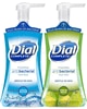 Save  on TWO (2) Dial Complete Foaming Hand Wash Pumps (Redeemable at Walmart) , $1.50