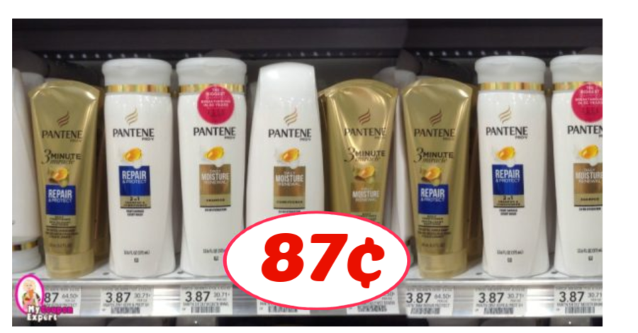 Pantene Stylers just 87¢ each at Publix!